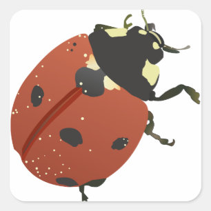 Sticker Carré LadyBug Office Accueil Personnaliser Destiny Desti