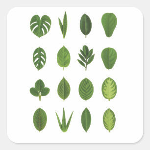 Sticker Carré Laisse-le à la nature