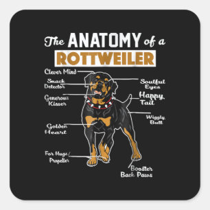 Sticker Carré L'Anatomie D'Un Rottweiler   AMOUREUX DES CHIENS C