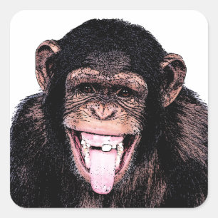 Sticker Carré Langue du chimpanzé