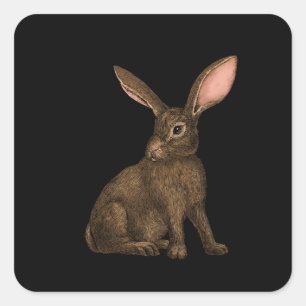 Sticker Carré Lapin 4