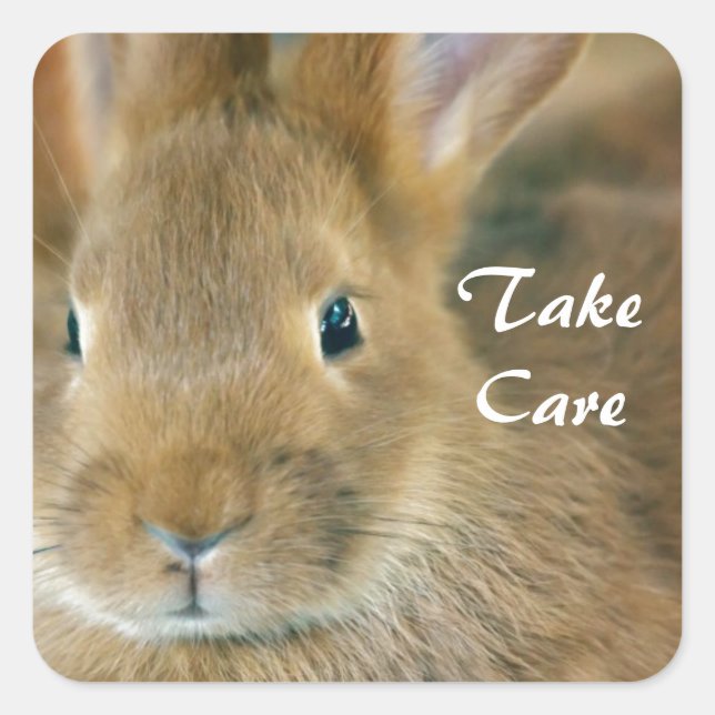 Sticker Carré Lapin de garenne (Devant)