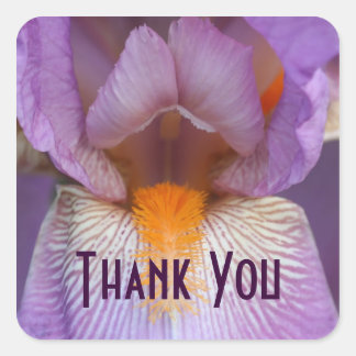 Sticker Carré Lavande Iris Merci de la fleur pétale