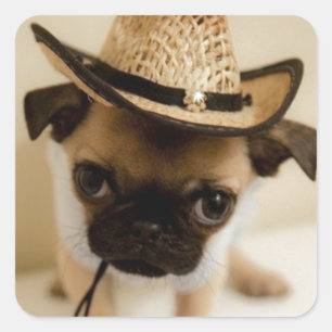 Sticker Carré Le Carlin Cowboy Puppy