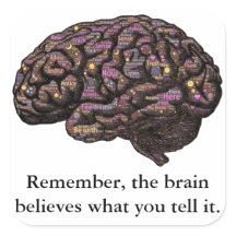 Le Cerveau Croit Ce Que Vous Dites
