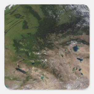 Sticker Carré Le changement de végétation