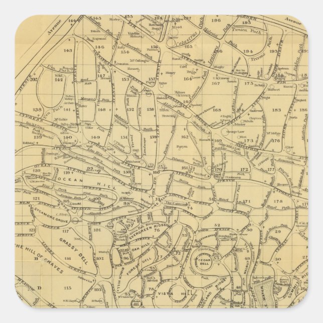 Sticker Carré Le cimetière de bois vert (Devant)