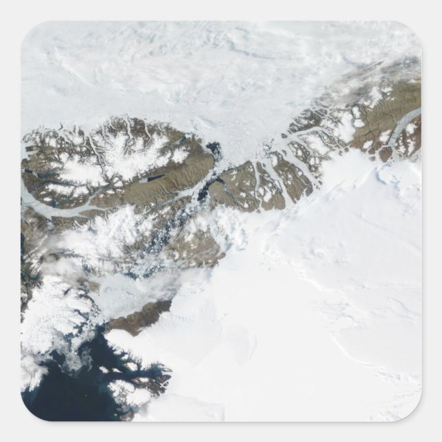 Sticker Carré Le dégel estival (Devant)