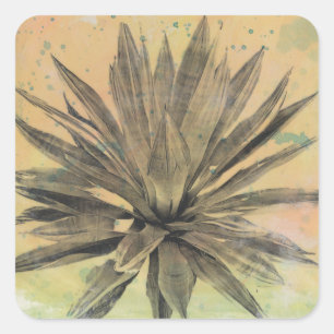 Sticker Carré Le désert rêve la plante verte de  