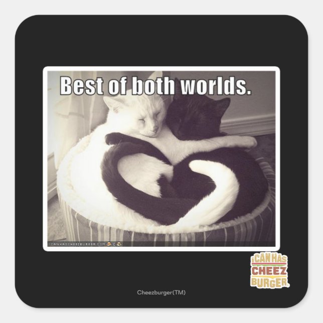 Sticker Carré Le meilleur des deux mondes. (Devant)