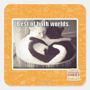 Sticker Carré Le meilleur des deux mondes.
