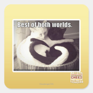 Sticker Carré Le meilleur des deux mondes.