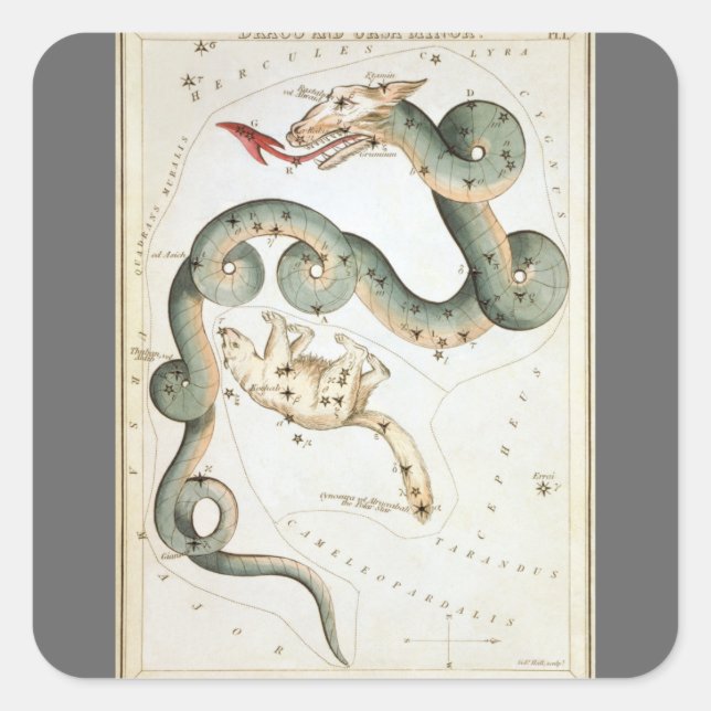 Sticker Carré Le miroir de l'Ukraine, la carte céleste de l'astr (Devant)