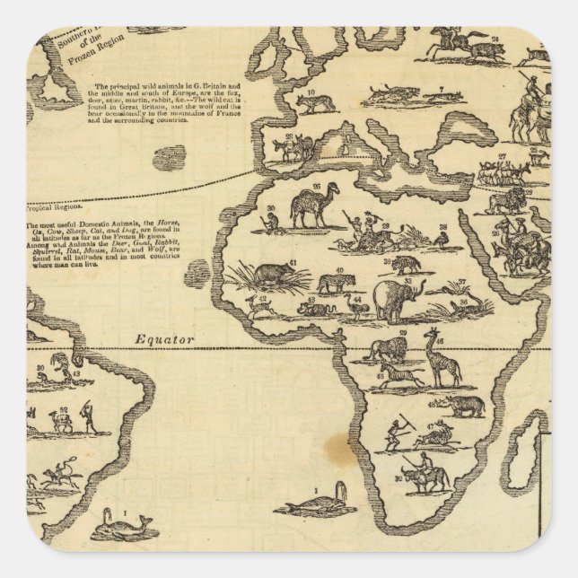 Sticker Carré Le monde des animaux (Devant)