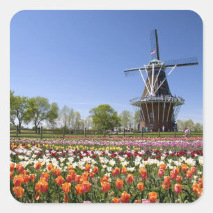 Sticker Carré Le parc de l'île du moulin à vent avec des tulipes