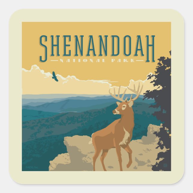 Sticker Carré Le Parc national de Shenandoah | Cerf (Devant)