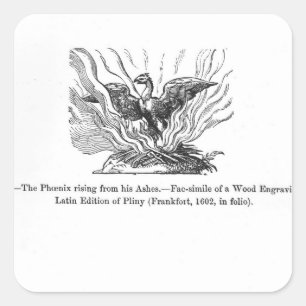 Sticker Carré Le Phénix se levant de ses cendres