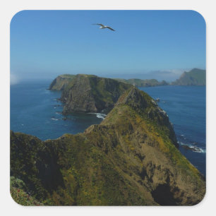 Sticker Carré Le point d'inspiration d'Anacapa I dans les îles d