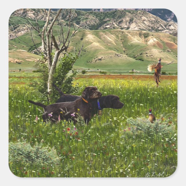 Sticker Carré Le Pudelpointer (Devant)