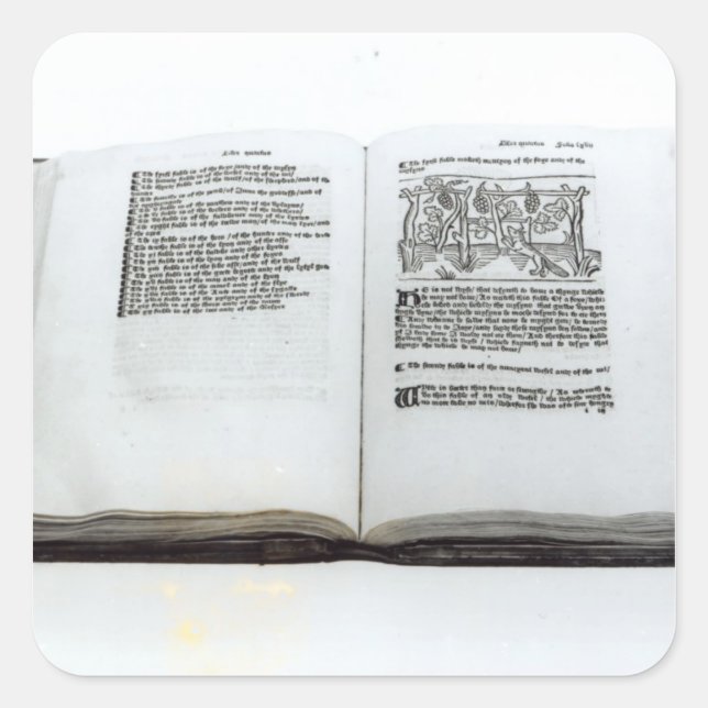 Sticker Carré Le renard et les raisins (Devant)