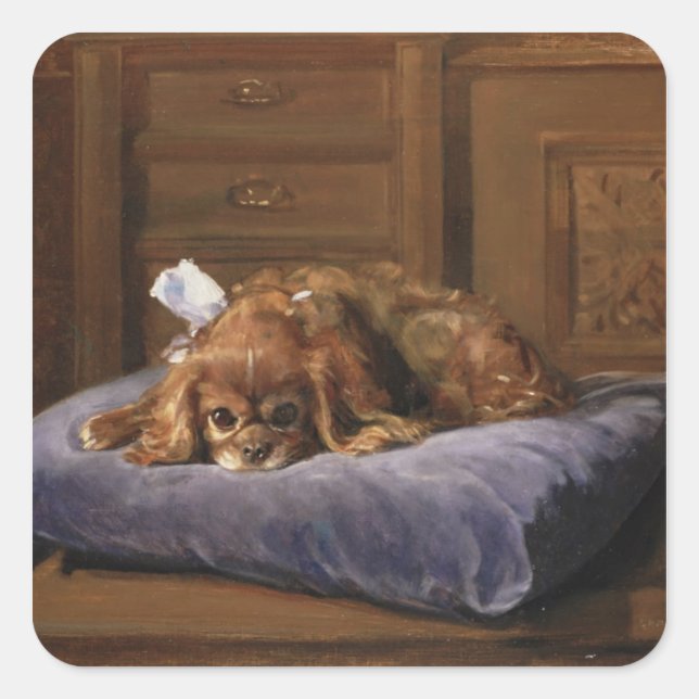 Sticker Carré Le roi Charles Spaniel (Devant)