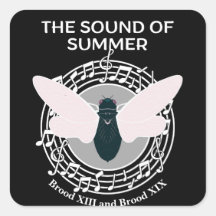 Le son de Summer Cicada Brood