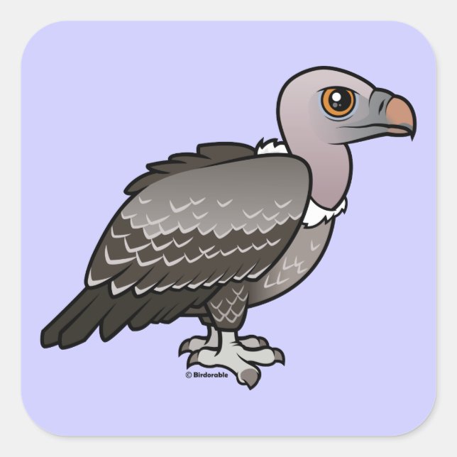 Sticker Carré Le vautour de Rueppell (Devant)