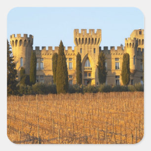 Sticker Carré Le vignoble avec des vignes de syrah et le château