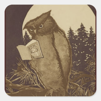 Sticker Carré Lecture de Owl par Moonlight