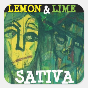 STICKER CARRÉ LEMON & LIME SATIVA