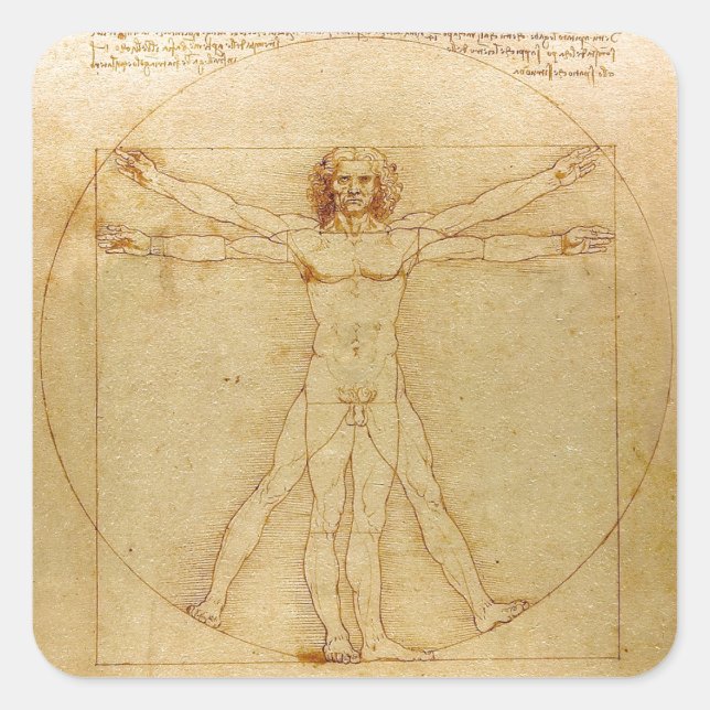 Sticker Carré Leonardo da Vinci , Vitruvian Man (Devant)