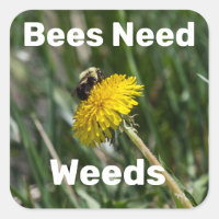 Les abeilles ont besoin des mauvaises herbes