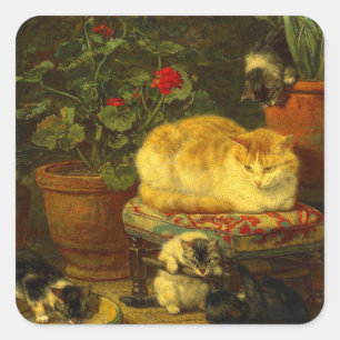 Sticker Carré Les chatons en jeu