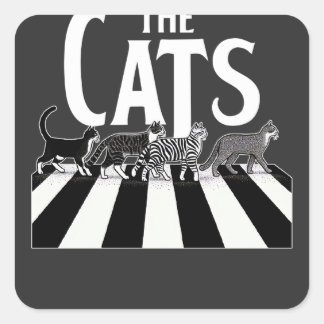 Sticker Carré Les chats