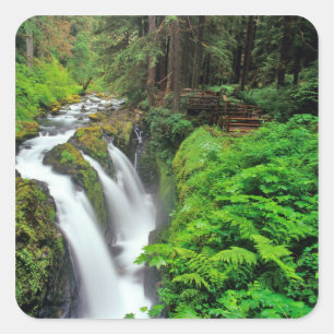 Sticker Carré Les chutes de Sol Duc dans le parc national Olympi