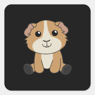 Sticker Carré Les Cochons De Guinée Mignons Animaux Pour Enfants