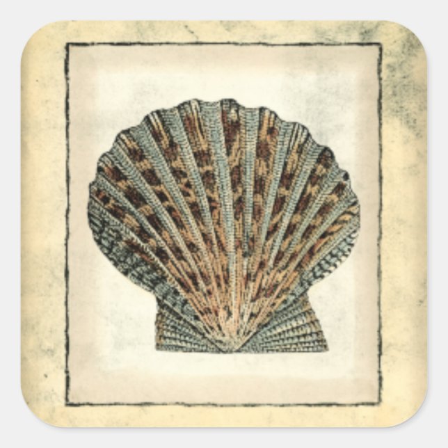 Sticker Carré Les Créatures marines au bord de l'eau (Devant)