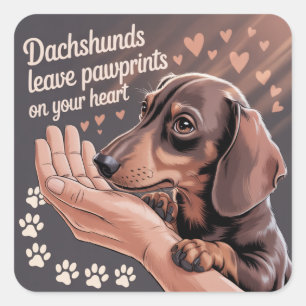 Sticker Carré Les Dachshunds Laissent des Empreintes de Patte su