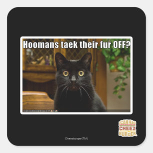 Sticker Carré Les femmes de chambre s'en vont-elles ?