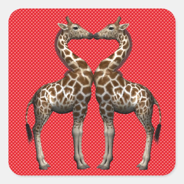 Sticker Carré Les girafes amoureuses (Devant)
