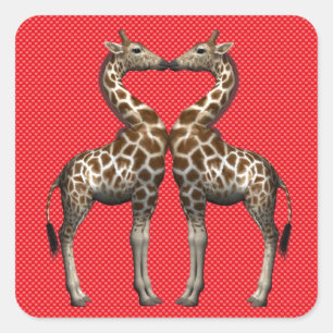 Sticker Carré Les girafes amoureuses