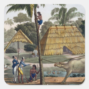 Sticker Carré Les indigènes de question de naturalistes