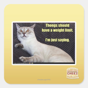 Sticker Carré Les lanières devraient avoir une limite de poids