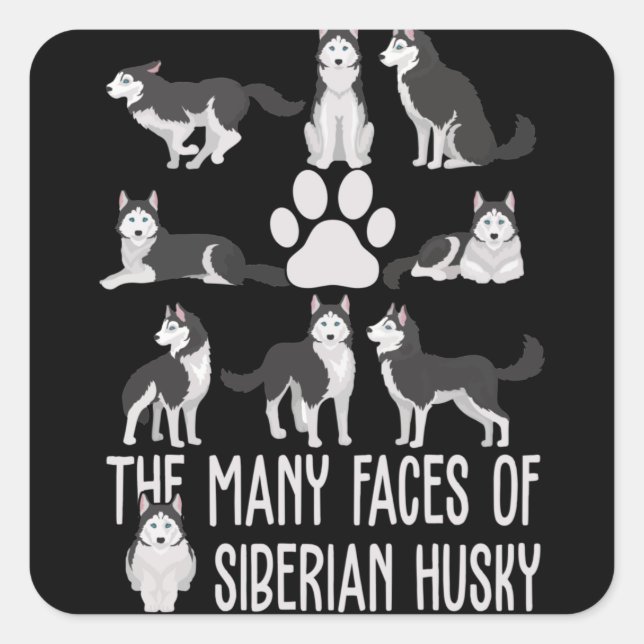 Sticker Carré Les multiples visages du Husky Sibérien pour l'Amo (Devant)
