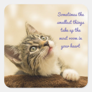 Sticker Carré Les Plus Petites Choses