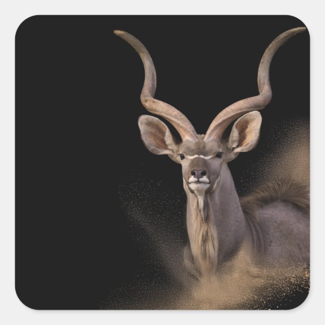 Sticker Carré L'Esprit de Kudu (Devant)