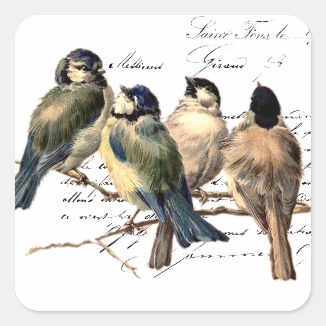 Sticker Carré Lettre française vintage et oiseaux (Devant)