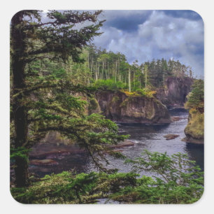 Sticker Carré lever matinal péninsule olympique Cape Flattery