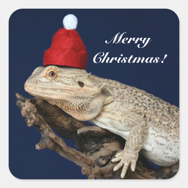 Sticker Carré Lézard Dragon Porté Personnalisé - Santa Hat (Devant)