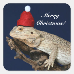 Sticker Carré Lézard Dragon Porté Personnalisé - Santa Hat